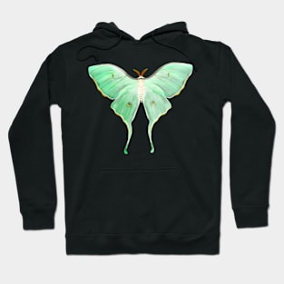 Luna Moth Hoodie